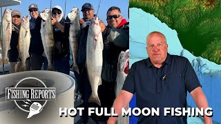 Southern California Bight FISHING REPORT 06202024 [upl. by Humo]