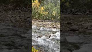 Kaslo britishcolumbia kootenays nature [upl. by Drofliw146]