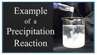 Example of a Precipitation Reaction [upl. by Ellenehc]