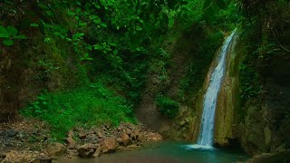 Waterfall sounds for sleeping no music nature water sounds relaxing music Asmr for deep sleep [upl. by Enomar]