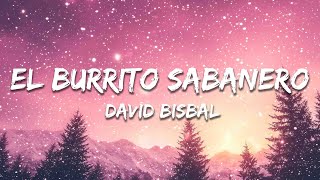 David Bisbal  El Burrito Sabanero Letra  Lyrics [upl. by Lonee]