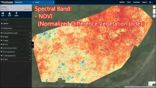 Multispectral Crop Data Collection with an Autonomous UAV [upl. by Mathews]