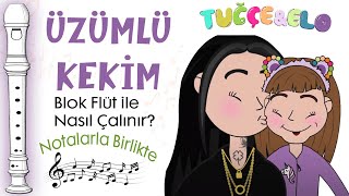 ÜZÜMLÜ KEKİM Flüt Notaları  Ses Veriyorum [upl. by Aicnarf283]