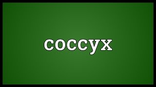 Coccyx Meaning [upl. by Adni919]