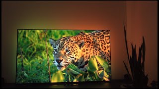 Philips Hue Sync Box  Play Bars  Planet Earth [upl. by Malloy737]