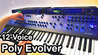 DSI POLY EVOLVER 12 Voices  Beautiful Ambient Space Music  Dave Smith Instruments 【SYNTH DEMO】 [upl. by Siulesoj]