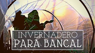 Cómo hacer un INVERNADERO casero para bancales Polytunnel [upl. by Yvel]