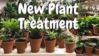 TREAT your NEW PLANTS to a HEALTHY LIFE plantcare plants healthyplants [upl. by Renick]