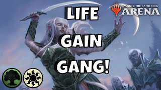 2022 SELESNYA LIFE GAIN  ANGELS amp CLERICS  mtg arena  DampD NEW MYTHIC DECK STANDARD BO1 150 VIDEO [upl. by Snapp]