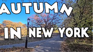 Autumn In New York Winter Is Coming [upl. by Katrine]