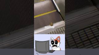 Frog skeleton halloween skull art edit funny cat memes bombastic funk [upl. by Dwan]