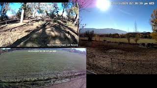 A Rocky Mountain Girl amp MTNMN Ranch Live Stream quotHerd Lifequot [upl. by Carlo]