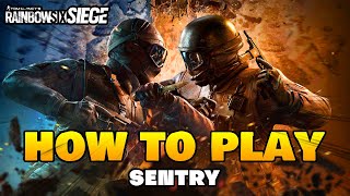 SENTRY The Complete Guide In Rainbow Six Siege Y9S1 [upl. by Jesse38]