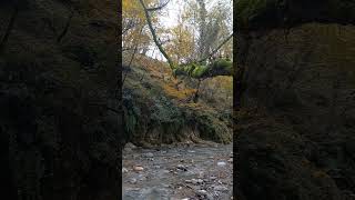 Beautiful Autumn🏔🌊relaxing nature relaxation naturesounds calm waterfall autumn [upl. by Hittel]