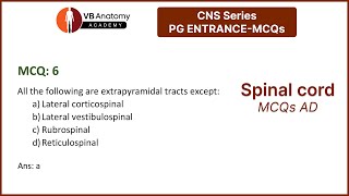 An overview of the MCQs in Spinal cord series [upl. by Aseen88]