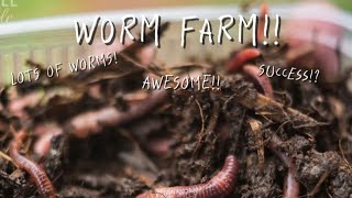 I Built A Successful Worm Farm🏆💪 [upl. by Adniral]