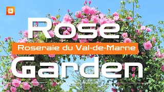 Roseraie de LHAY Roseraie du ValdeMarne France 🇫🇷 [upl. by Norven736]