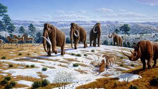 New World Pleistocene extinctions  Wikipedia audio article [upl. by Aaberg]