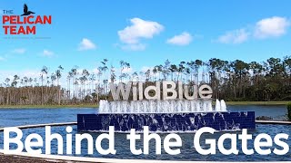 WildBlue Estero  Behind the Gates of Wild Blue in Fort Myers Florida ☀️ 🌴 🚤 [upl. by Elem]