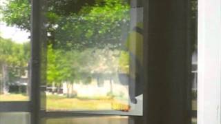 Anti Glare Film for Glass and Storefront Windows  Glare Fi [upl. by Lleznov]