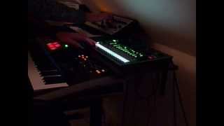 Moog Sub Phatty  Roland TR8  TB3 [upl. by Corinna]