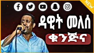 Dawit melese  Kunjina ቁንጅና Amarlood Music With Lyrics [upl. by Pansy]