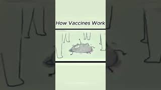 Funny animation how vaccine works funnyvideo [upl. by Nadnerb]