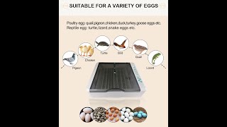 HHD New Design Automatic 36 Eggs Incubator [upl. by Gerge]