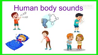 Human body sounds Vocabulary in English with StudySi8q [upl. by Ahsaenat337]