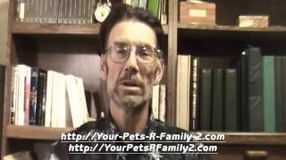 Pets R Family 2 Welcomes You [upl. by Cheke]