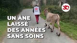 Cet âne a été laissé seul de longues années [upl. by Eellehs]