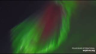 Beautiful Northern Lights Aurora Borealis Display x2 Speed 10112024 exploreorg [upl. by Noraj]