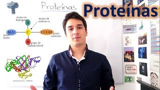 Proteínas y Aminoácidos UN MES DE CLASES EN 10 MINUTOS [upl. by Ettenoitna]