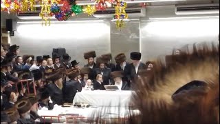 Simchas Beis Hashoeva With Pshevorsk Rebbe  Sukkos 2024 [upl. by Enywad]