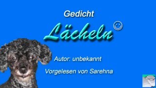 Ein Lächeln  Gedicht [upl. by Ellekim]