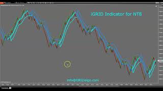 iGRID Indicator  NT8 Platform [upl. by Acinoed681]