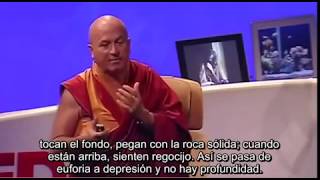 Entendiendo la felicidad o el bienestar Matthieu Ricard [upl. by Siurad]