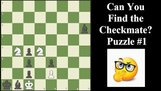 Can You Find the Checkmate Video 1  Chess Series [upl. by Nomrah]