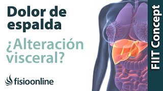 Tratamiento para dolor de espalda cervical y dorsal provocado por una alteración del estómago [upl. by Aihsyak]