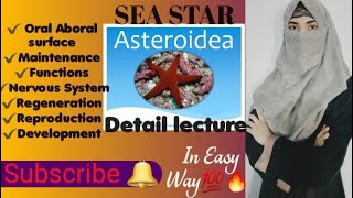 CLASS ASTEROIDEA Sea StarMaintenance FunctionsNervous systemRegenerationReproduction [upl. by Delos41]