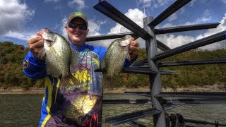 Beaver Lake crappie guide Payton Usrey on using American Fish Tree [upl. by Ainiger]