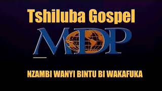 Tshiluba gospel  Nzambi wanyi bintu bi wakafuka Lyrics How great Thou Art in Tshiluba by Sure [upl. by Gabbi]