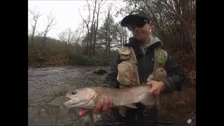 Fly Fishing Georgias Public Water Trophy Trout [upl. by Ahsai]