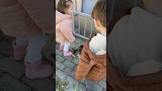 Pisi kedicik 😂keşfetteyiz babyshorts funny [upl. by Hynda824]