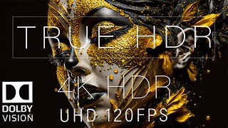 Wonderful 4K HDR 120FPS DOLBY VISION [upl. by Corly]