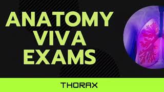 anatomy viva questions  3 [upl. by Eladroc]