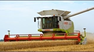 Cutting Wheat  ButhFranzen landbouw  Lexion 600 TerraTrac [upl. by Vasya]