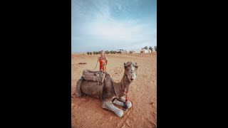 Dormimos uma noite no DESERTO DO SAARA [upl. by Eiramenna]