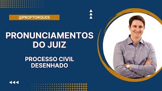 Pronunciamentos do Juiz  Processo Civil Desenhado [upl. by Lleumas]