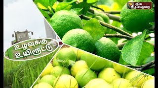 Uzhavukku Uyiroottu எலுமிச்சை சாகுபடி முறைகள் லாபம் பெறுவது எப்படி   10112018 Lemon [upl. by Selrahc69]